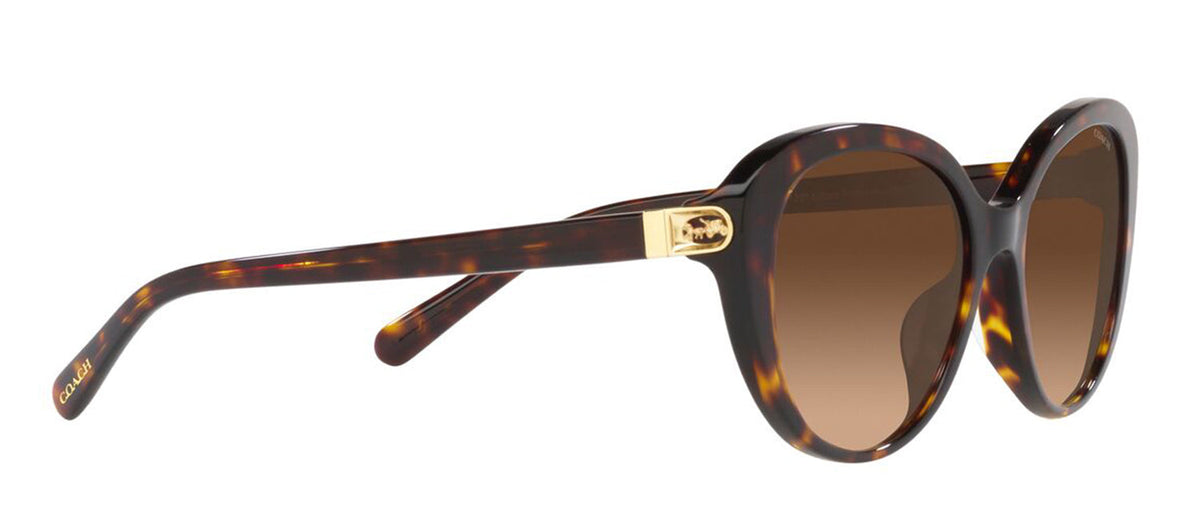 Coach 0HC8348U 512074 Cat Eye Sunglasses