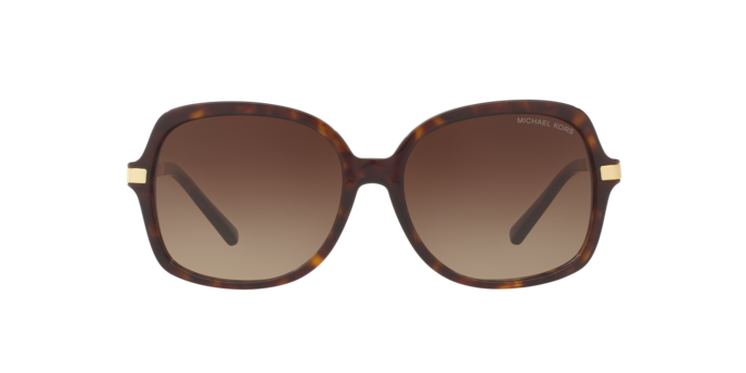 310613 - Dark Tortoise / Brown Gradient