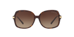 310613 - Dark Tortoise / Brown Gradient