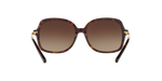310613 - Dark Tortoise / Brown Gradient