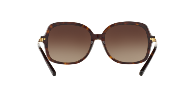 310613 - Dark Tortoise / Brown Gradient