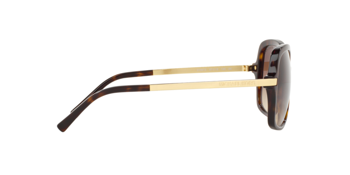 310613 - Dark Tortoise / Brown Gradient