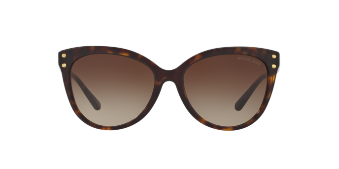 300613 - Dark Tortoise / Brown Gradient
