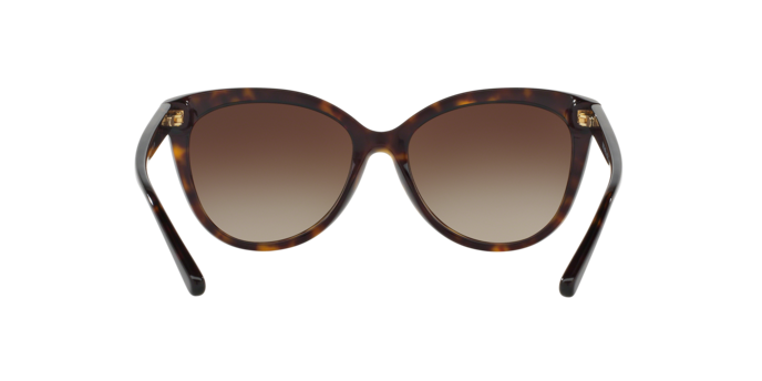 300613 - Dark Tortoise / Brown Gradient