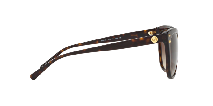 300613 - Dark Tortoise / Brown Gradient