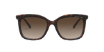 333313 - Dark Tortoise / Smoke Gradient