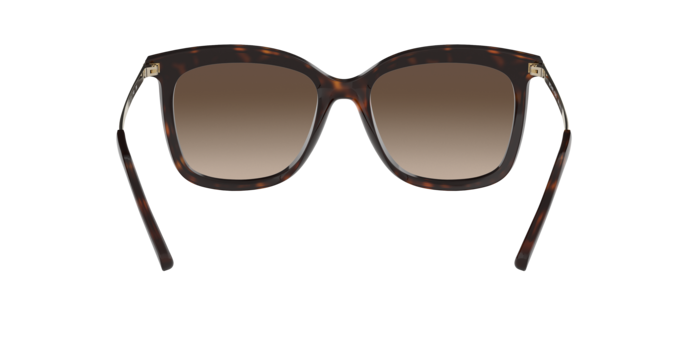 333313 - Dark Tortoise / Smoke Gradient