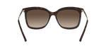 333313 - Dark Tortoise / Smoke Gradient