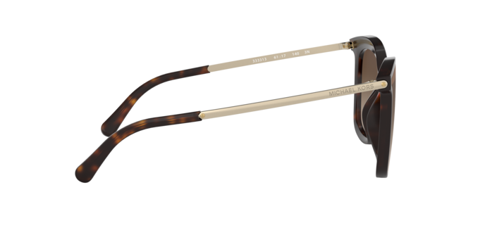 333313 - Dark Tortoise / Smoke Gradient