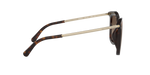 333313 - Dark Tortoise / Smoke Gradient