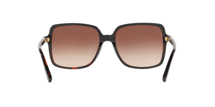 378113 - Dark Tortoise / Smoke Gradient