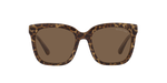 391773 - Brown / Brown Solid