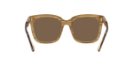 391773 - Brown / Brown Solid