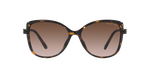 300613 - Dark Tortoise / Brown Gradient