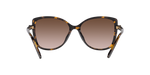300613 - Dark Tortoise / Brown Gradient