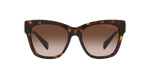 300613 - Dark Tortoise / Brown Gradient