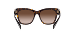 300613 - Dark Tortoise / Brown Gradient