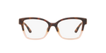 3909 - Tortoise / Demo Lens