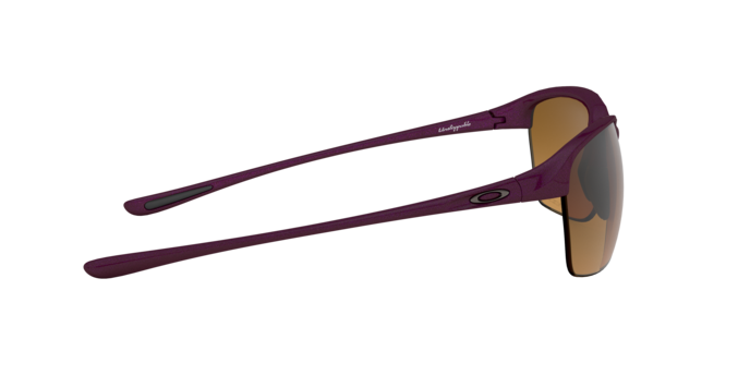 919103 - Raspberry Spritzer / Brown Gradient Polarized