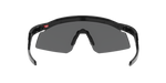 922901 - Black Ink / Prizm Black