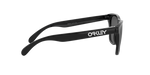 924562 - Polished Black / Prizm Black