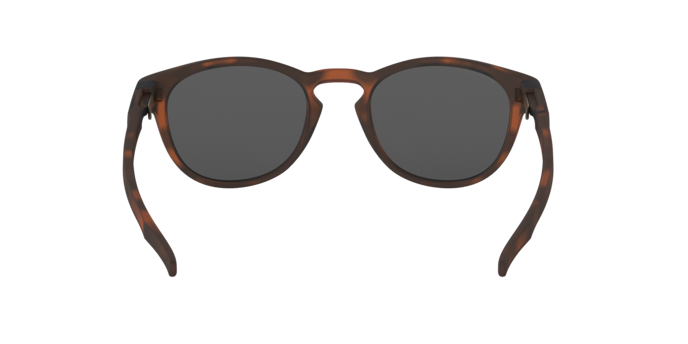 926522 - Matte Brown Tortoise / Prizm Black