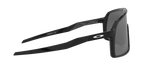 940601 - Polished Black / Prizm Black