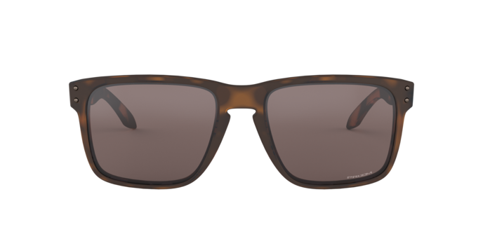 941702 - Matte Brown Tortoise / Prizm Black