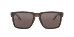 941702 - Matte Brown Tortoise / Prizm Black