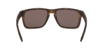 941702 - Matte Brown Tortoise / Prizm Black