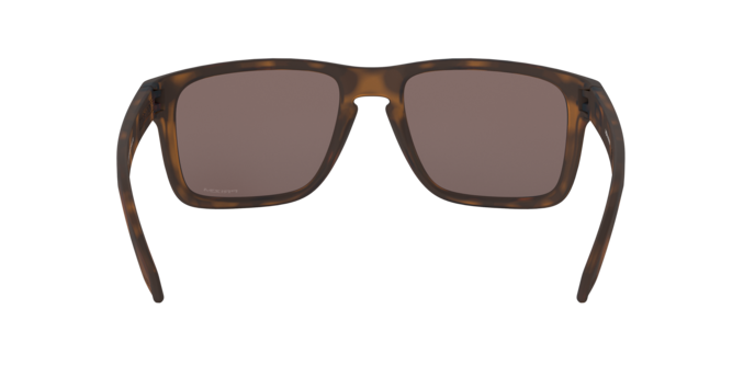 941702 - Matte Brown Tortoise / Prizm Black
