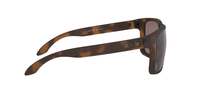 941702 - Matte Brown Tortoise / Prizm Black