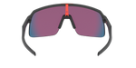946301 - Matte Black / Prizm Road