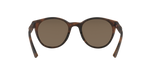 947401 - Matte Brown Tortoise / Prizm Rose Gold