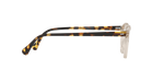 1485 - Buff / Demo Lens