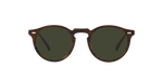 1724P1 - Tuscany Tortoise / G-15 Polarized