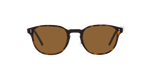 100953 - 362 / True Brown