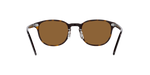 100953 - 362 / True Brown