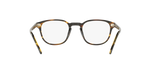 1003 - Cocobolo / Demo Lens