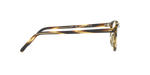 1003 - Cocobolo / Demo Lens