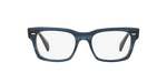 1662 - Indingo Havana / Demo Lens