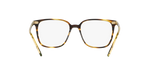 1003 - Cocobolo / Demo Lens