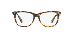 1550 - Hickory Tortoise / Demo Lens