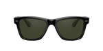 1492P1 - Black / G-15 Polarized