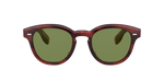 1679P1 - Grant Tortoise / G-15 Polarized