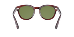 1679P1 - Grant Tortoise / G-15 Polarized