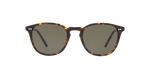 16549A - DM2 / G-15 Polarized