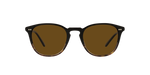 172283 - Black/362 Gradient / Brown Polarized