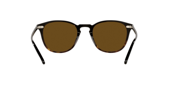 172283 - Black/362 Gradient / Brown Polarized