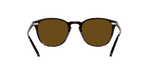 172283 - Black/362 Gradient / Brown Polarized